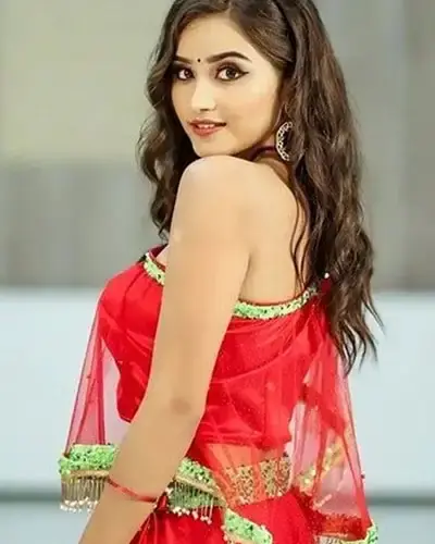 Escort In Dilsukhnagar